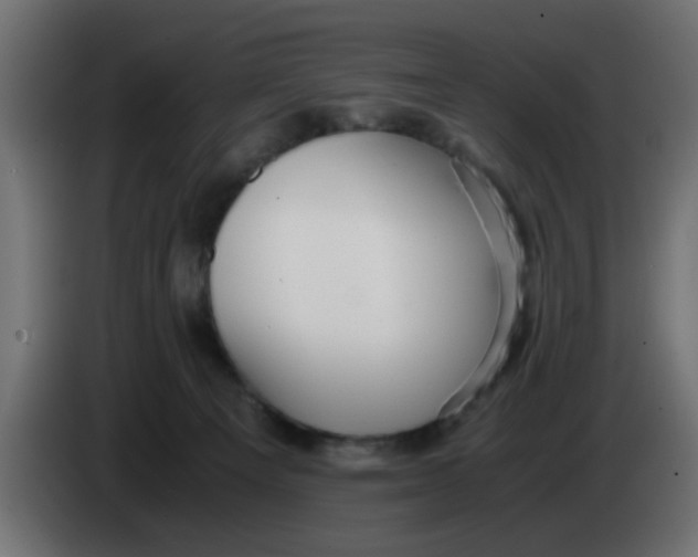 X0000083560129200703021730