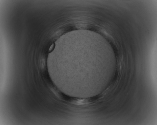 X0000083560130200703021730