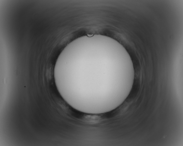 X0000083560133200703021730