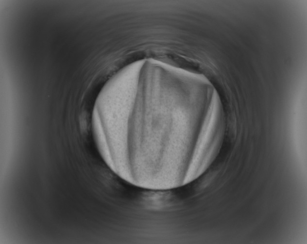 X0000083560135200703021730