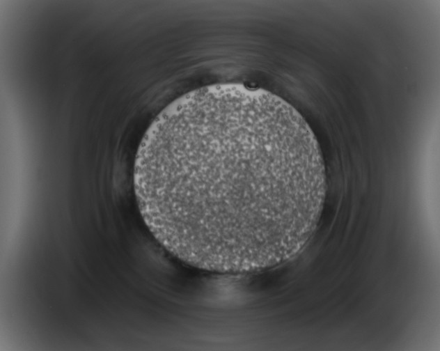 X0000083560136200703021730