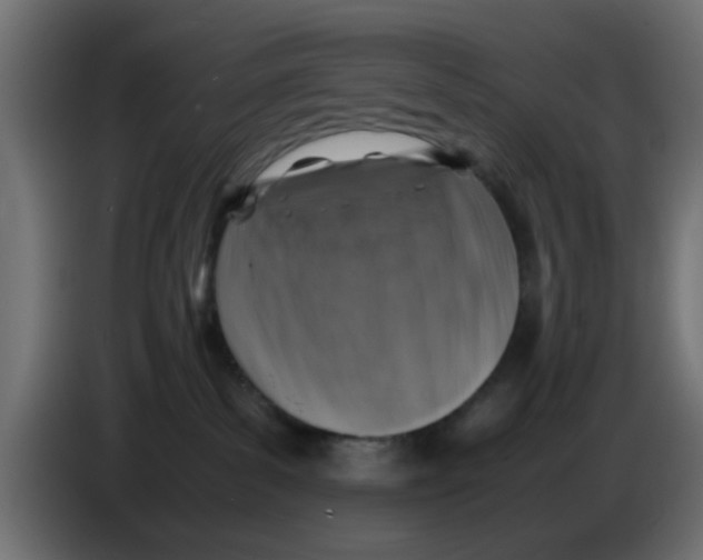 X0000083560139200703021730