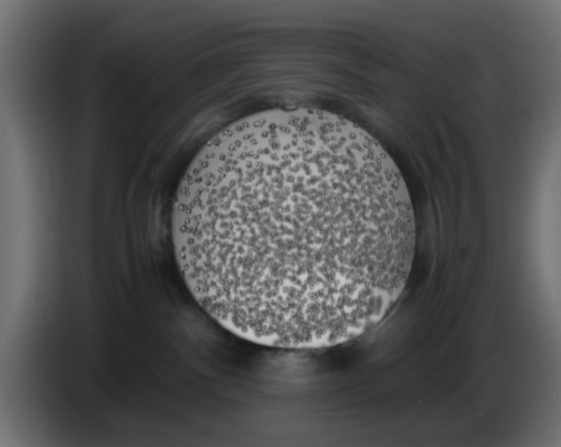 X0000083560140200703021730