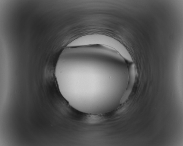 X0000083560141200703021730