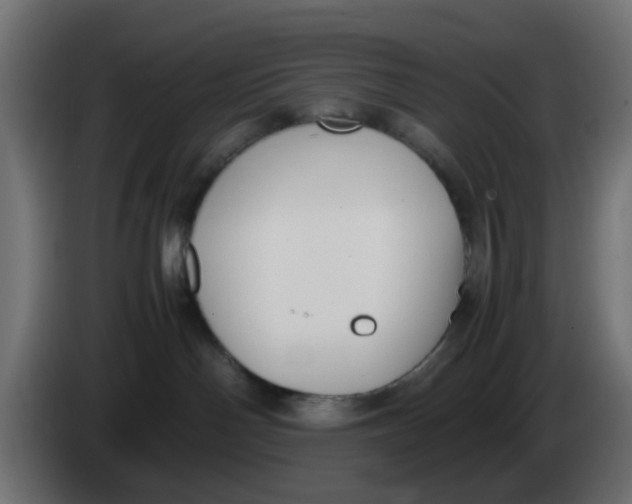 X0000083560142200703021730