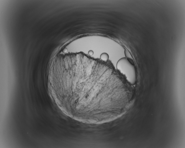 X0000083560145200703021729