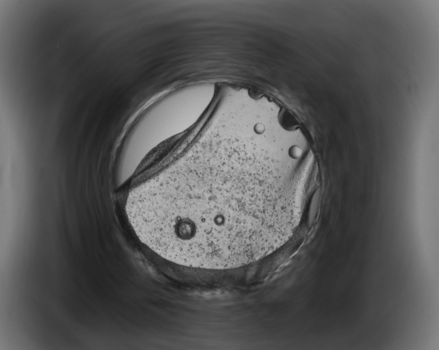 X0000083560146200703021729