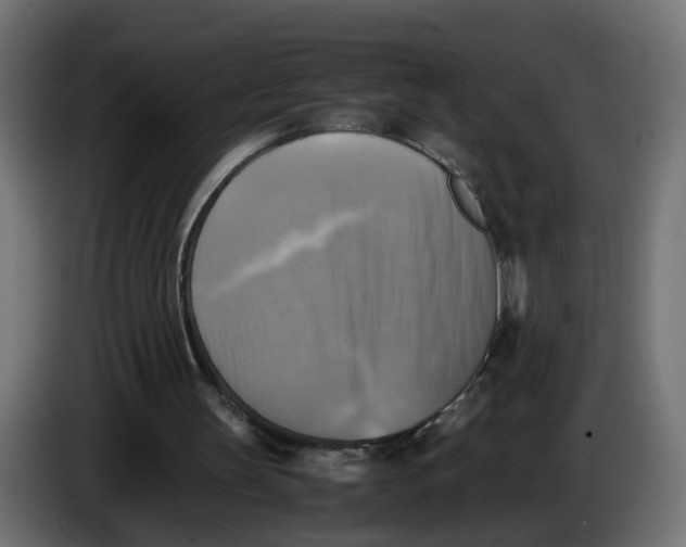 X0000083560147200703021729