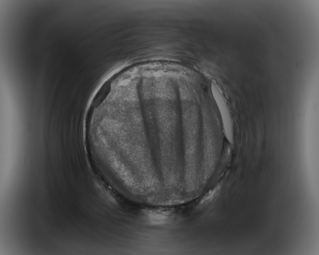 X0000083560148200703021729