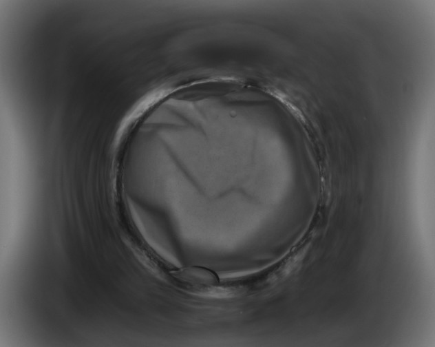 X0000083560149200703021729