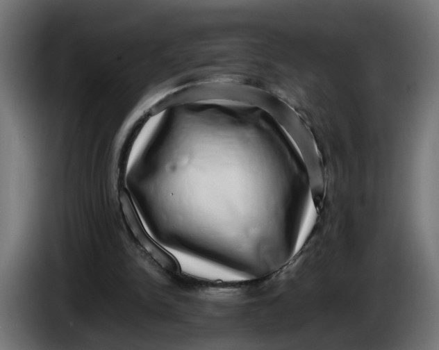 X0000083560150200703021729