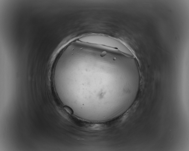 X0000083560151200703021729