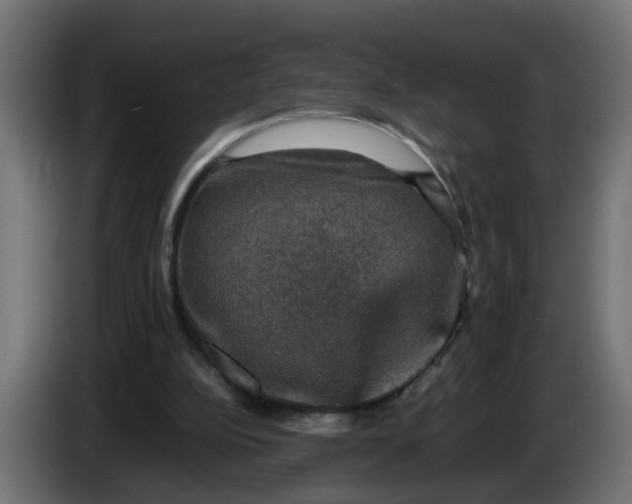 X0000083560152200703021729