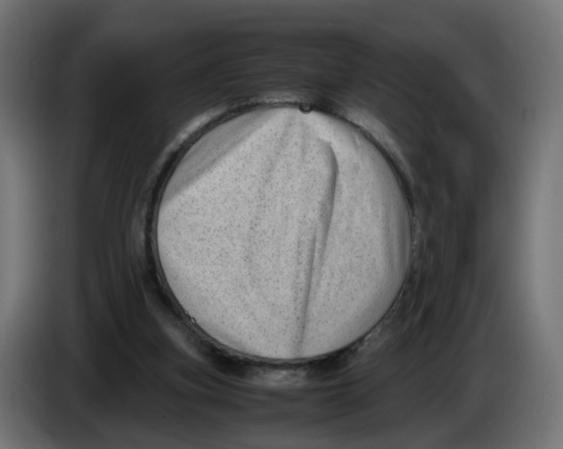 X0000083560155200703021729