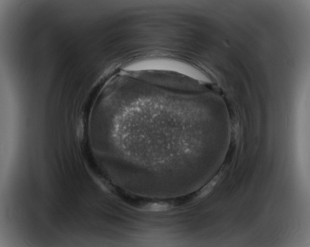 X0000083560158200703021729