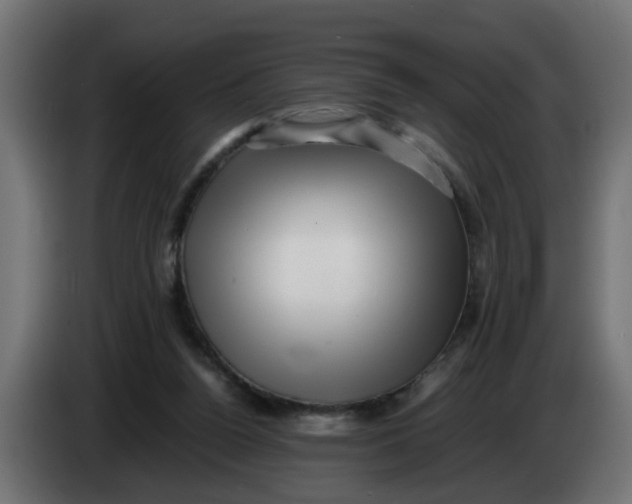 X0000083560160200703021729