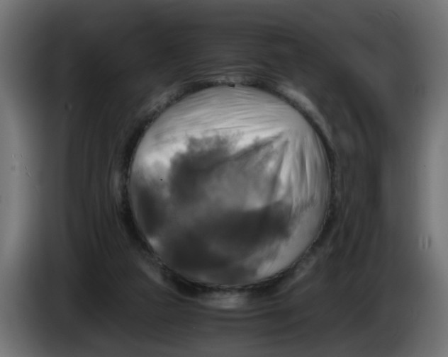 X0000083560161200703021729