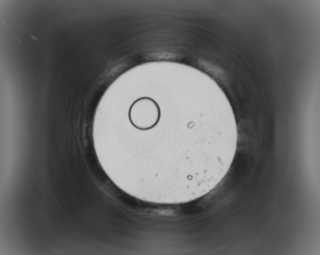 X0000083560162200703021729