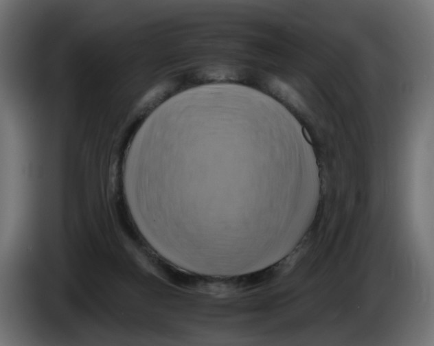 X0000083560163200703021729