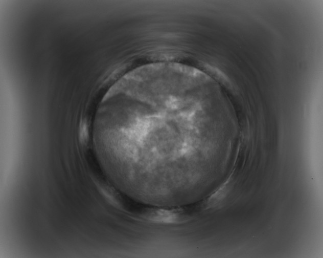 X0000083560166200703021729