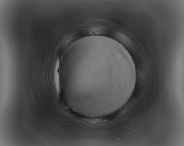 X0000083560169200703021729