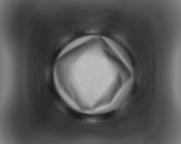 X0000083560171200703021729