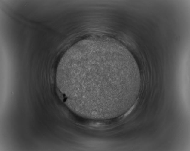 X0000083560174200703021729