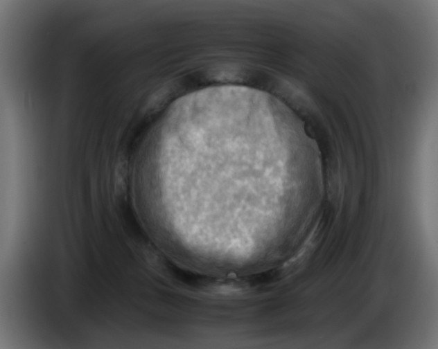 X0000083560175200703021729