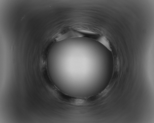 X0000083560176200703021729