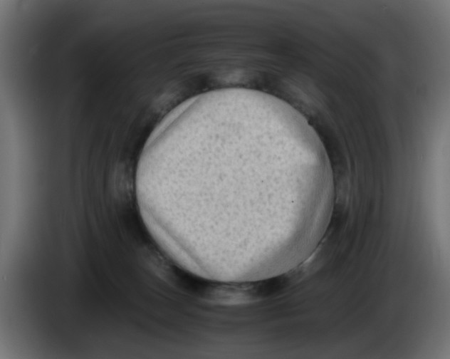 X0000083560179200703021729