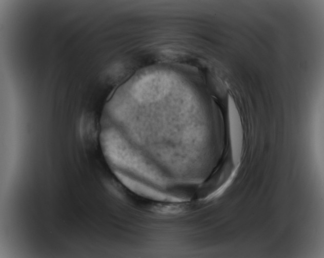 X0000083560186200703021729