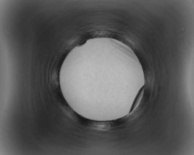 X0000083560187200703021729