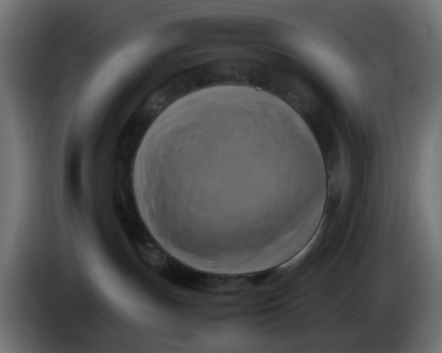 X0000083560191200703021729