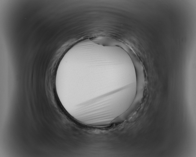 X0000083560193200703021729