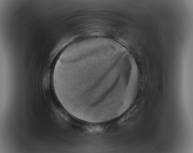 X0000083560194200703021728