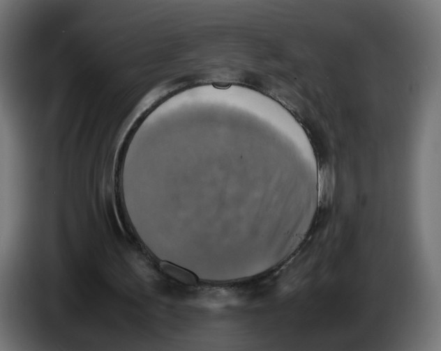 X0000083560195200703021728