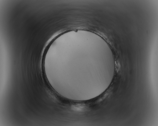 X0000083560196200703021728