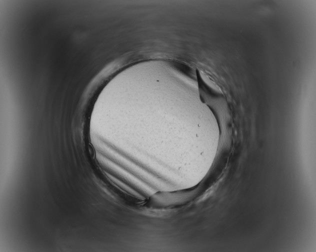 X0000083560197200703021728