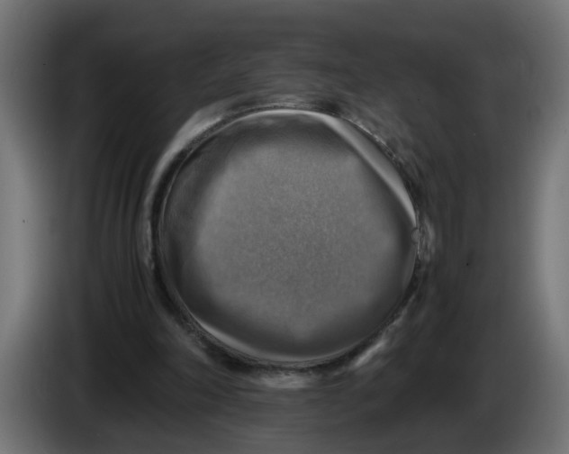 X0000083560198200703021728