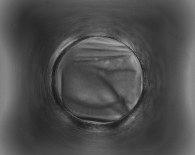 X0000083560199200703021728