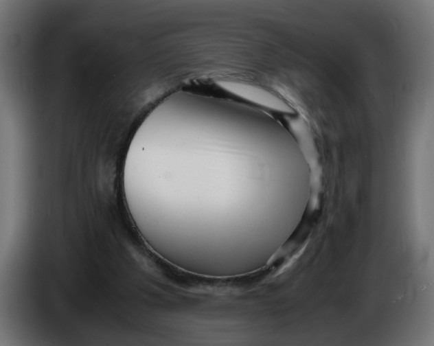 X0000083560201200703021728