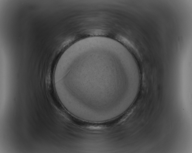 X0000083560202200703021728