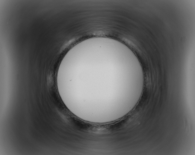 X0000083560208200703021728