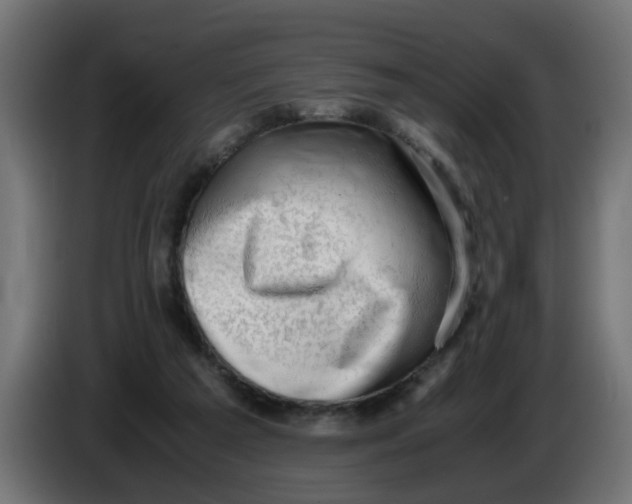 X0000083560209200703021728