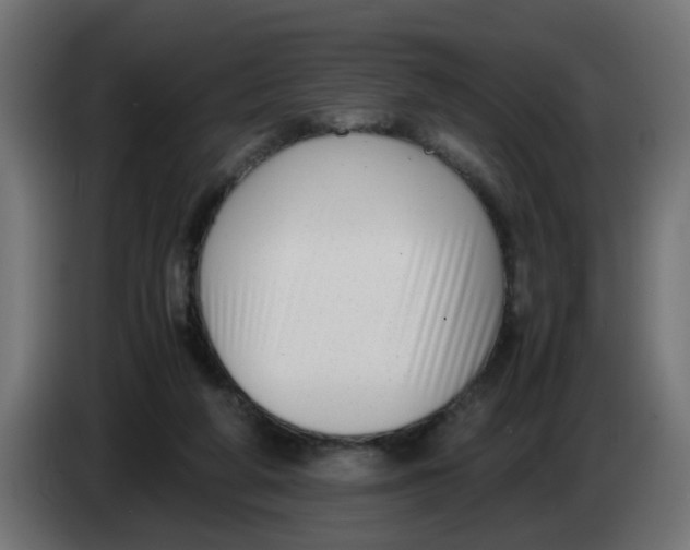 X0000083560210200703021728