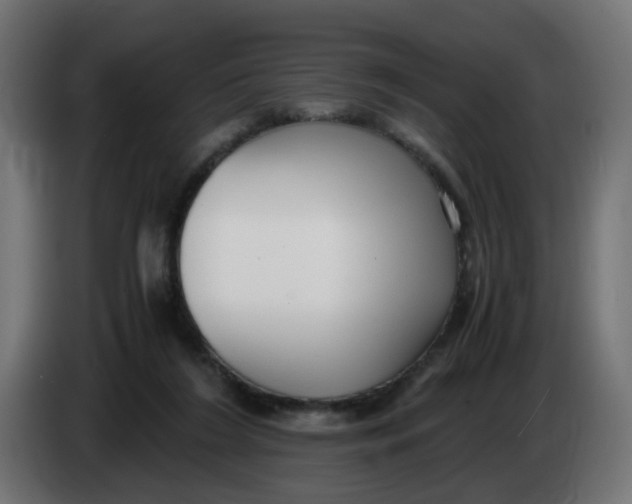 X0000083560212200703021728