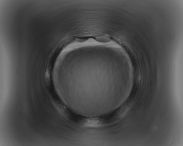 X0000083560214200703021728