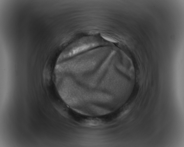 X0000083560215200703021728