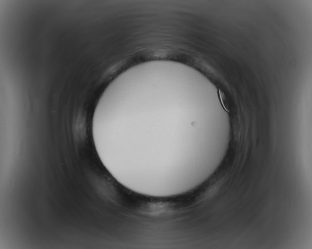 X0000083560216200703021728