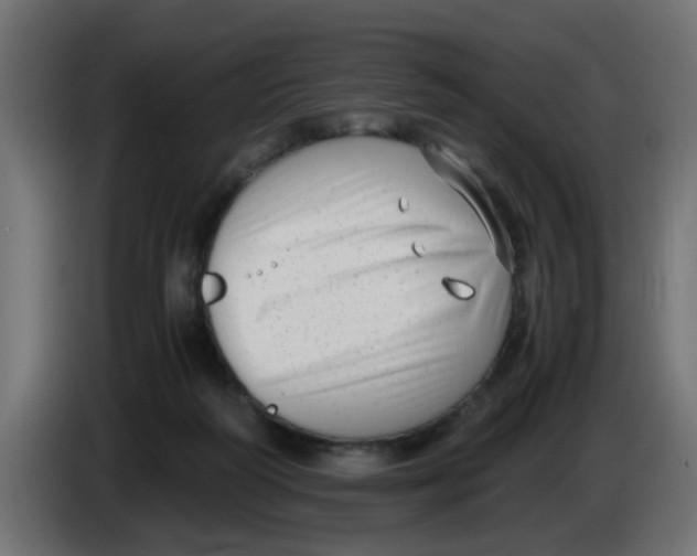 X0000083560218200703021728